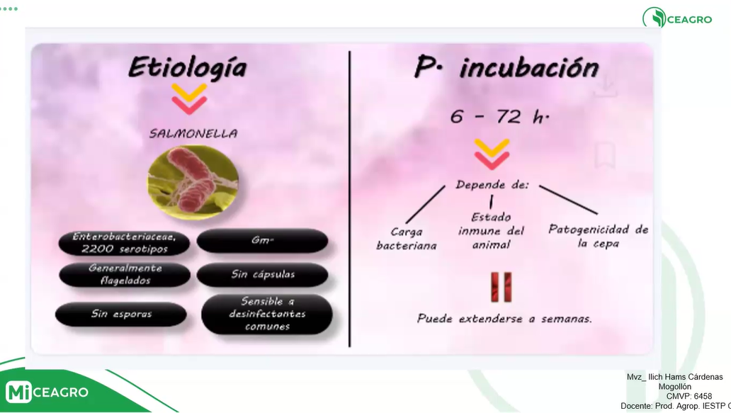 ENFERMEDADES INFECCIOSAS BOVINOS 2: TUBERCULOSIS, SALMONELOSIS, FIEBRE AFTOSA, MASTITIS